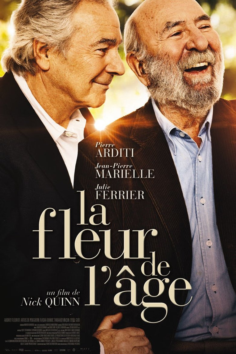 Poster of La Fleur de l'âge