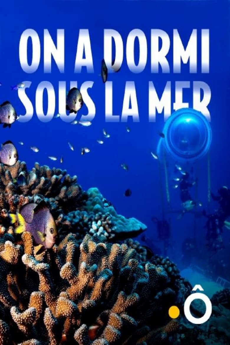 Poster of On a dormi sous la mer