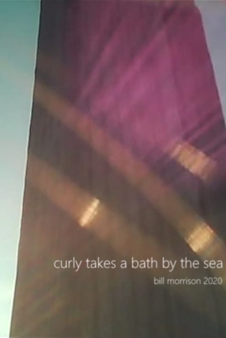 Poster of Curly Takes a Bath by the Sea