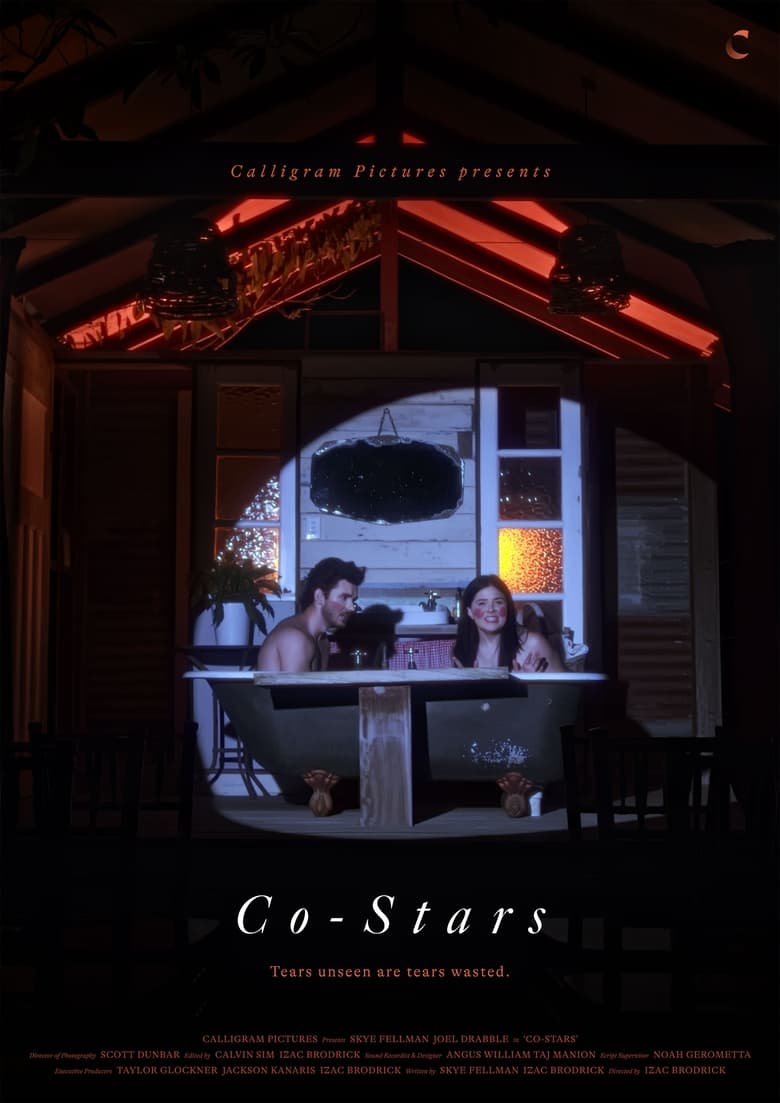 Poster of Co-Stars