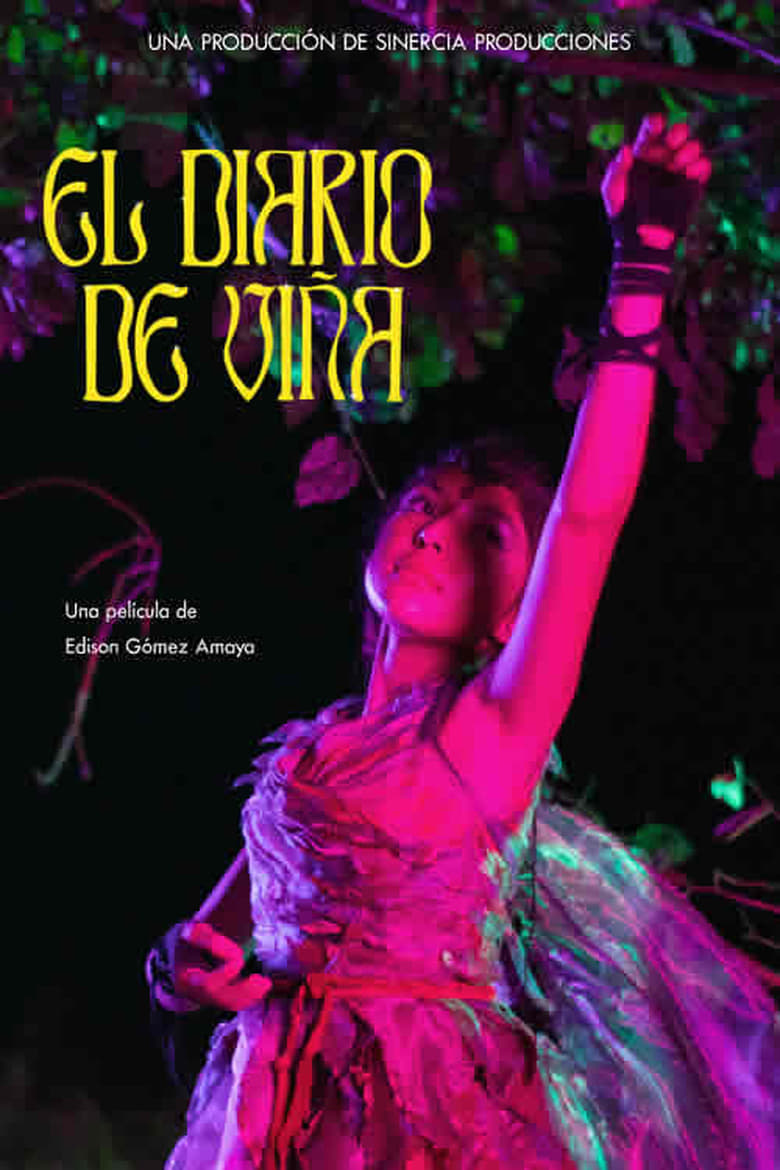 Poster of El Diario de Viña