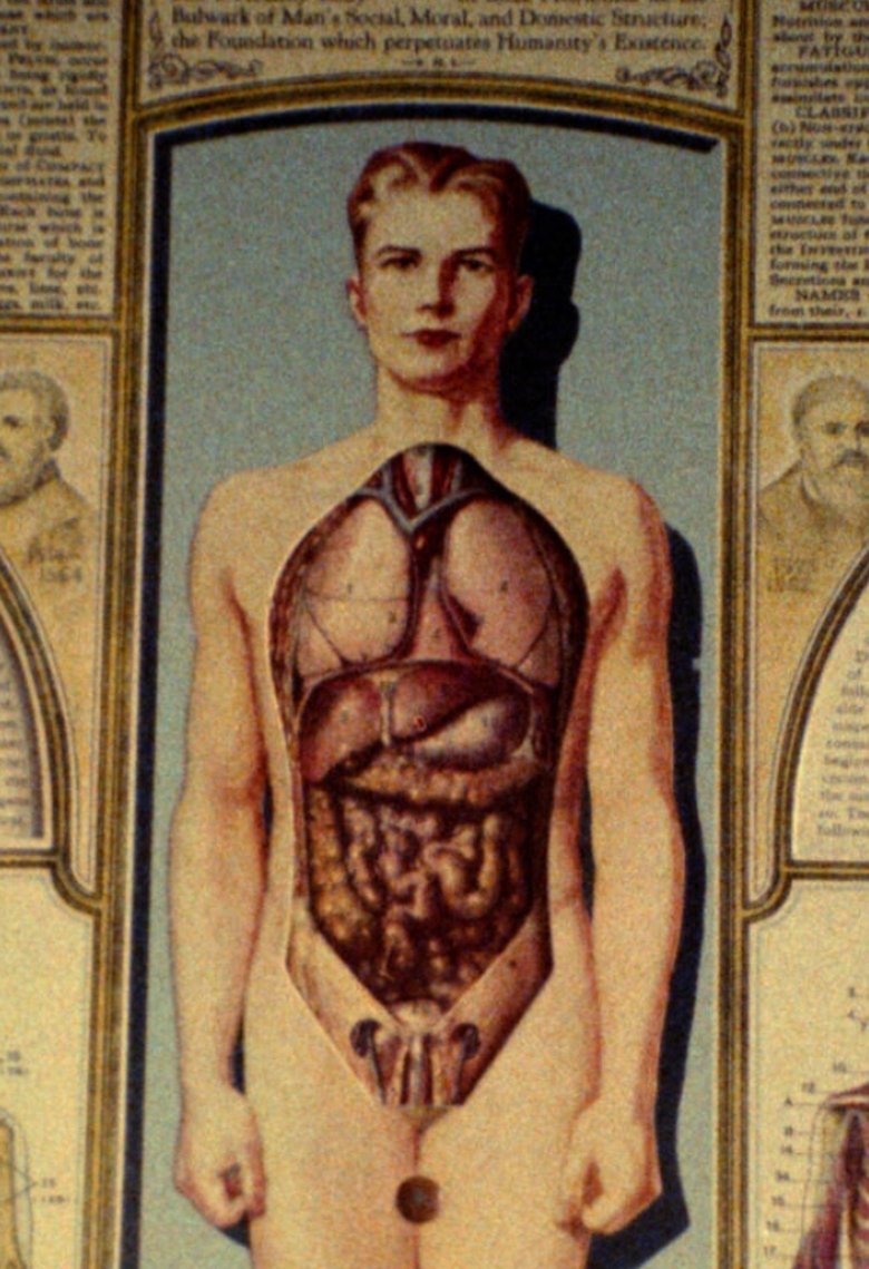 Poster of Natural History