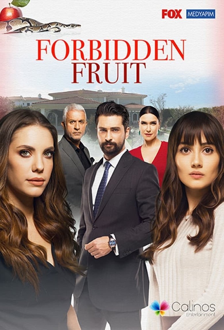 Poster of Episodes in Yasak Elma - Season 5 - Season 5