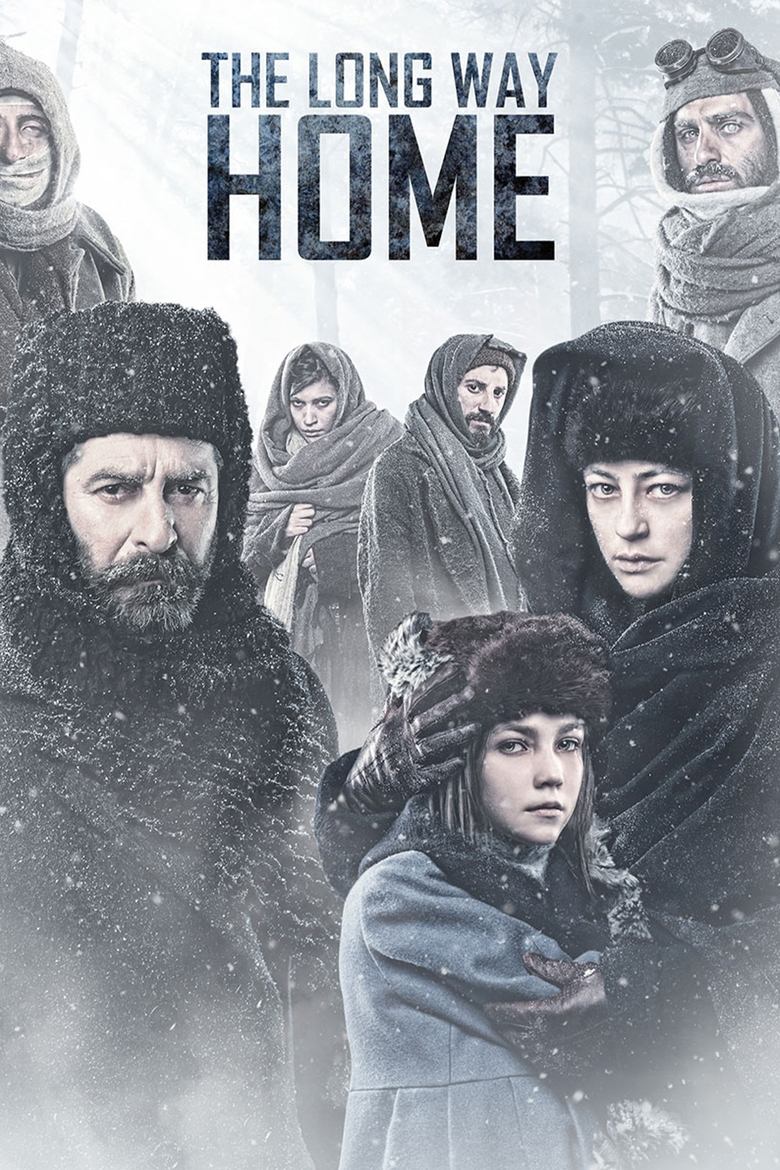 Poster of The Long Way Home