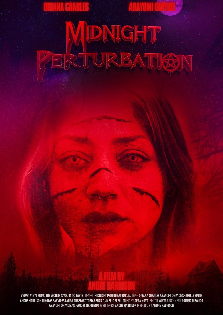 Poster of Midnight Perturbation