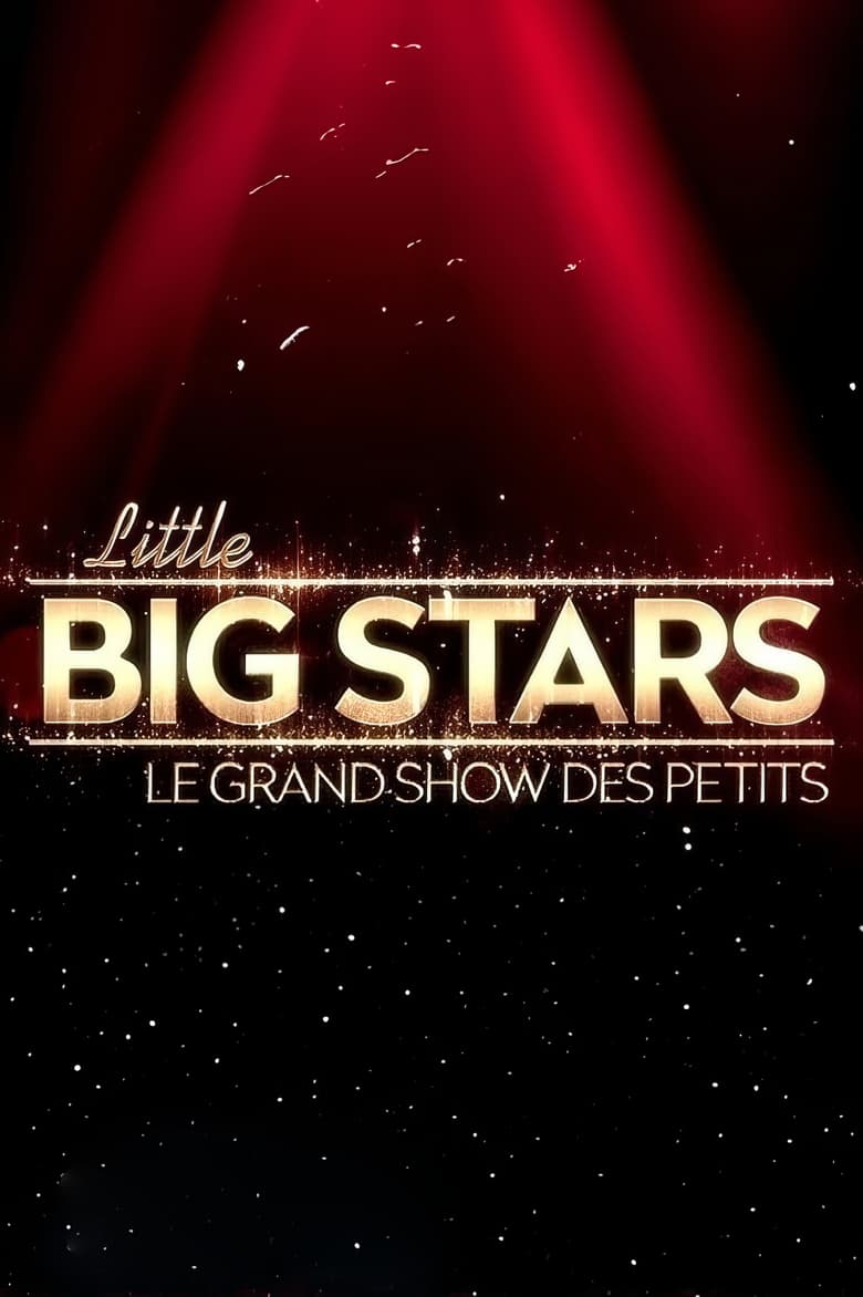 Poster of Little Big Stars FR