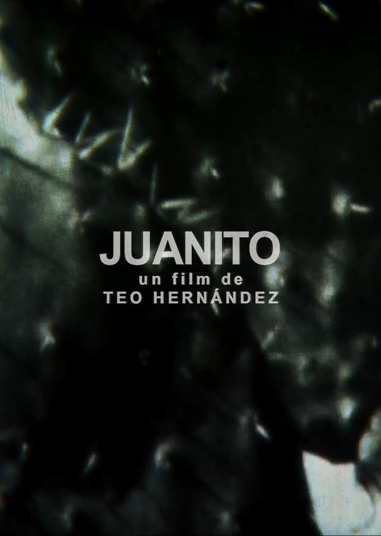 Poster of Juanito