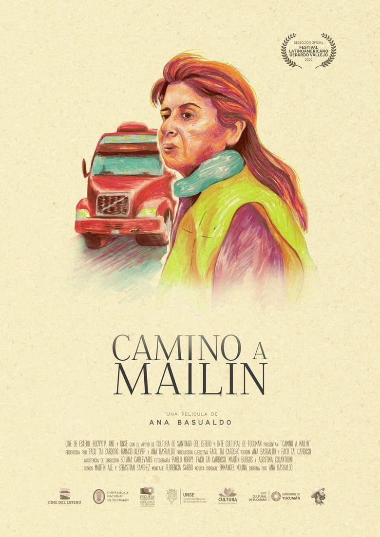 Poster of Camino a Mailín