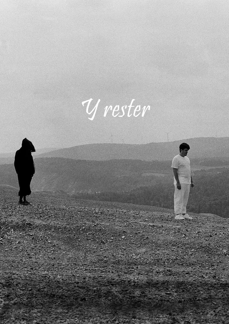 Poster of Y rester