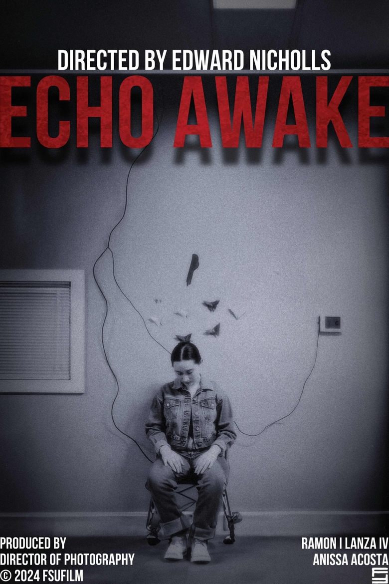 Poster of Echo Awake