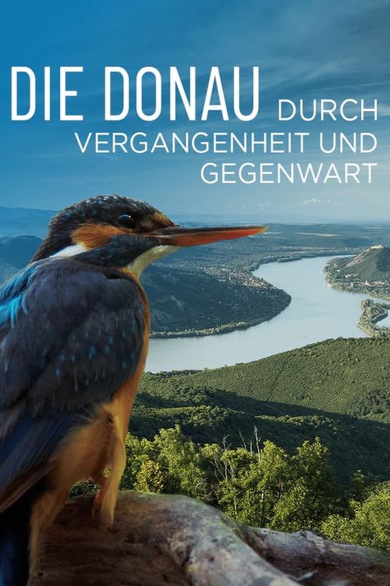 Poster of Die Donau – Durch Vergangenheit und Gegenwart