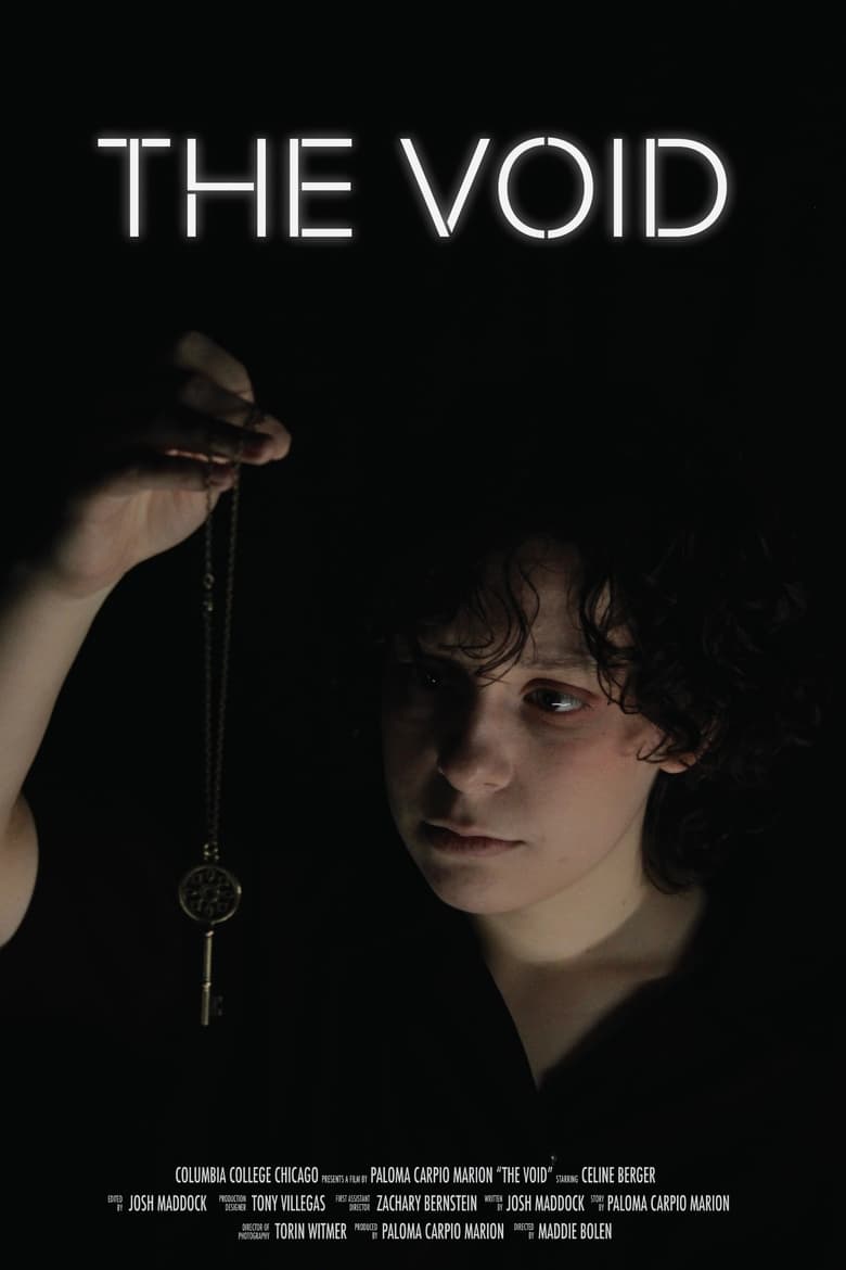 Poster of The Void