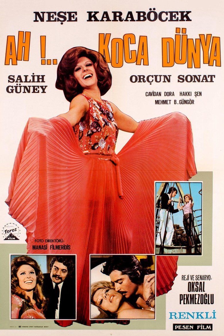 Poster of Ah Koca Dünya