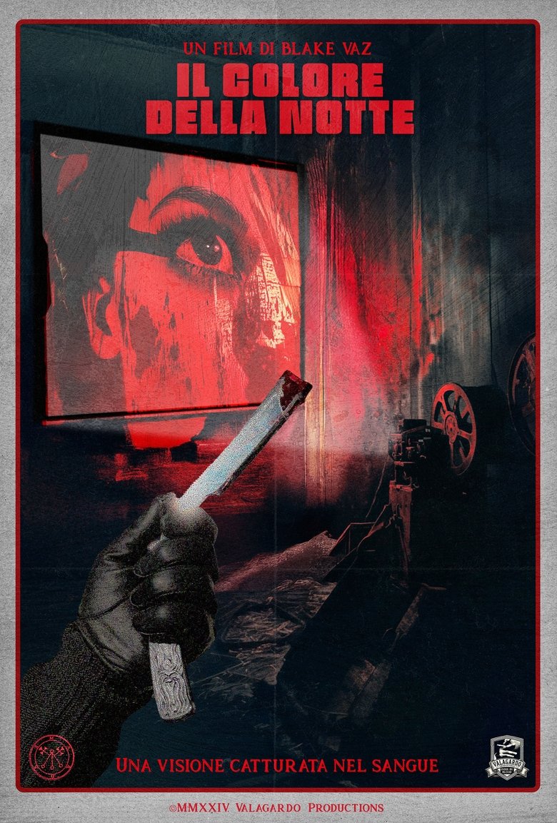 Poster of The color of Night