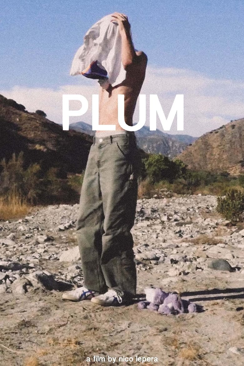 Poster of Plum