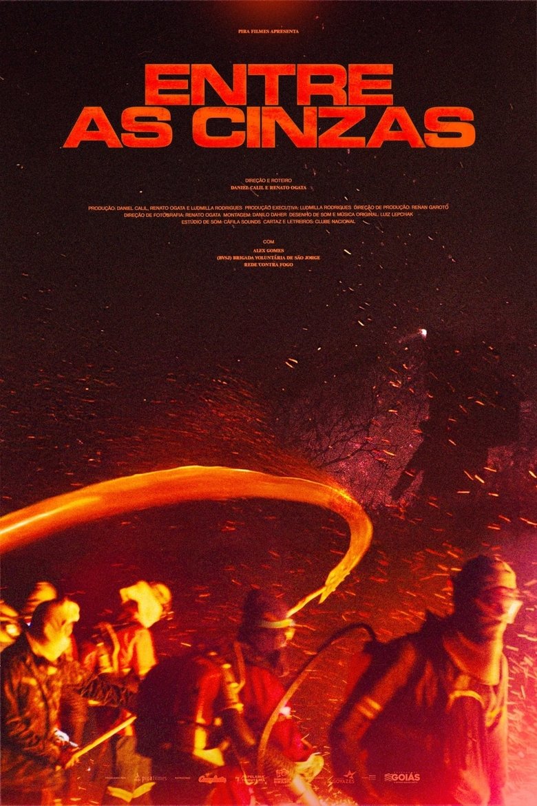 Poster of Entre as cinzas
