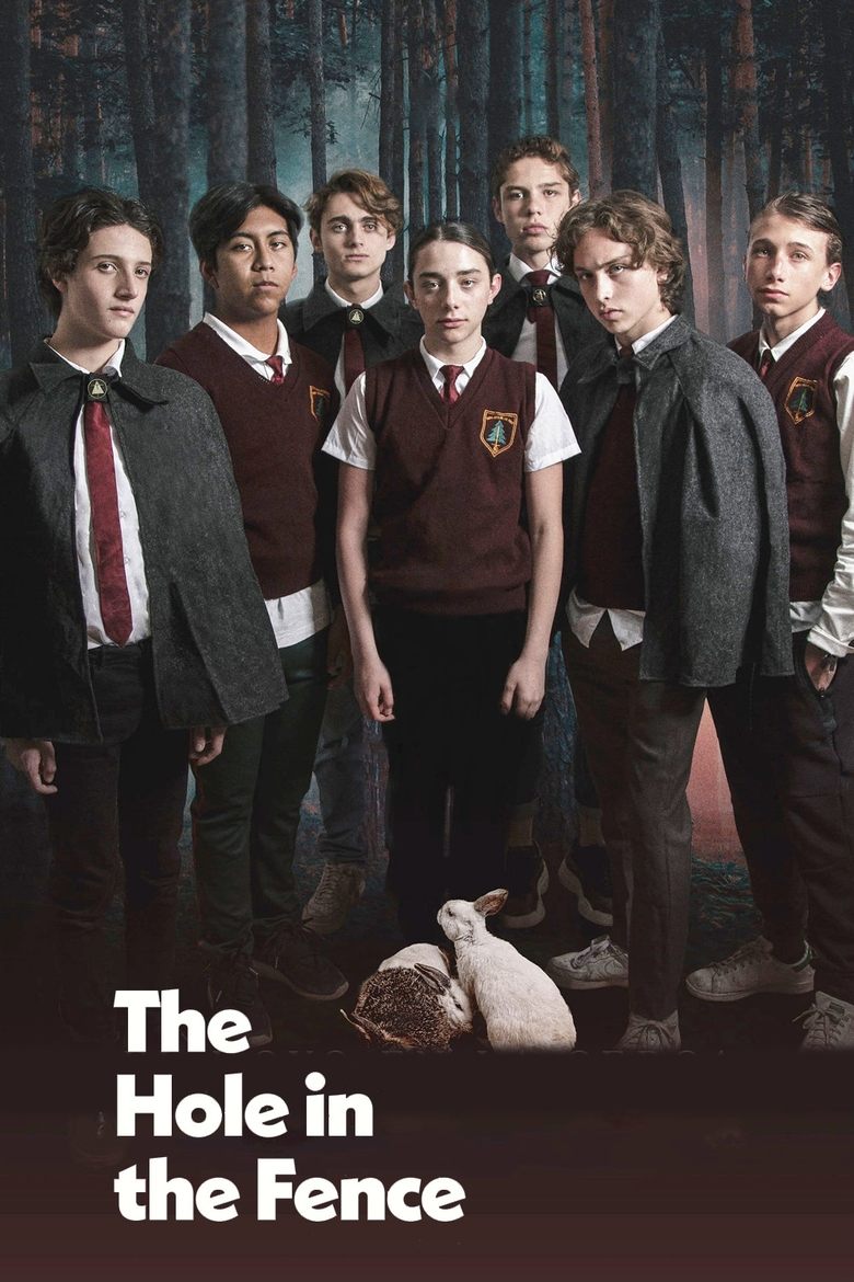 Poster of The Hole in the Fence