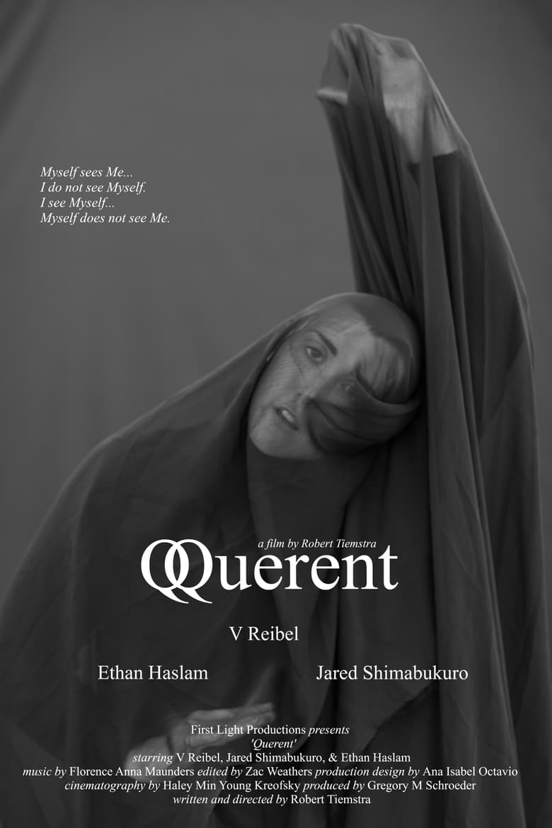 Poster of Querent