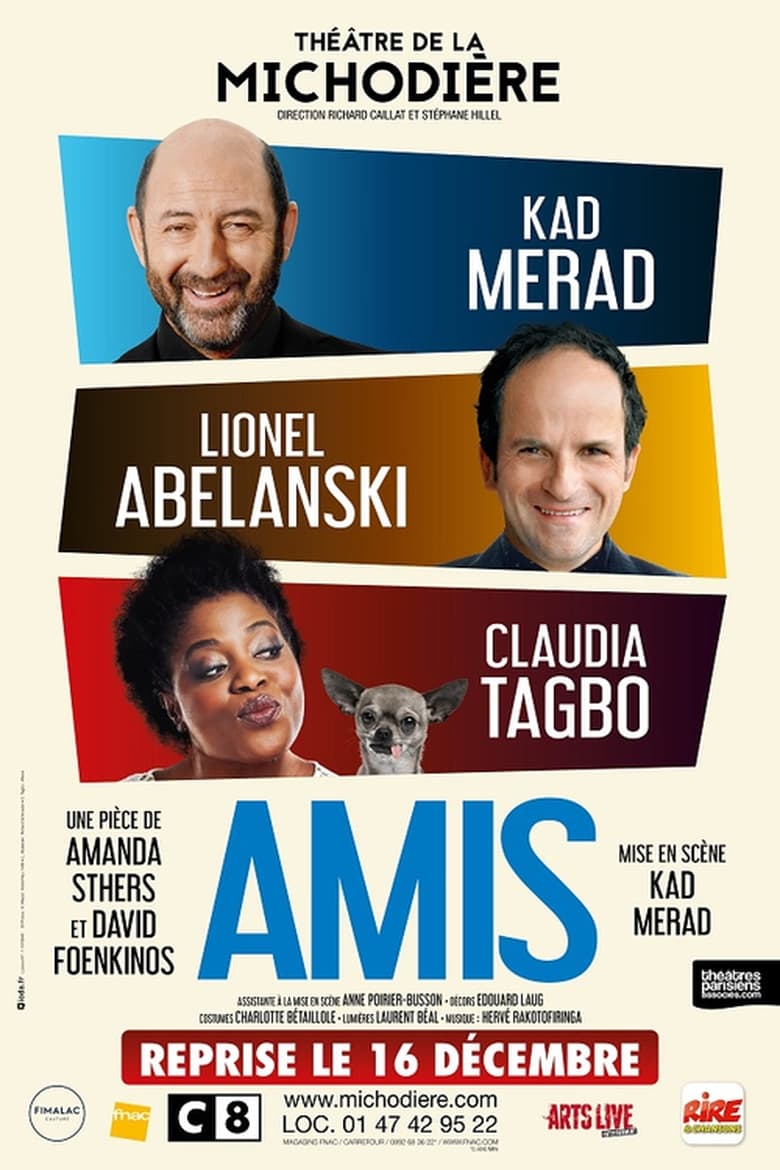 Poster of Amis