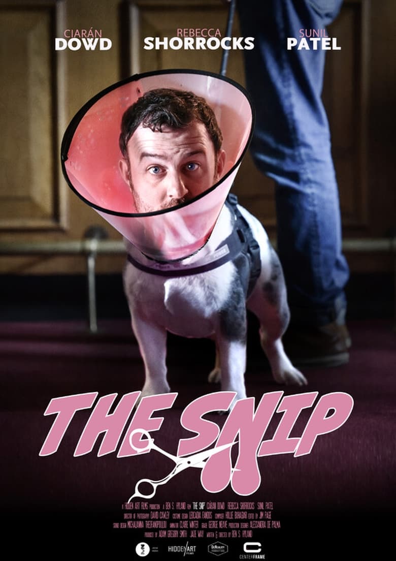 Poster of The Snip