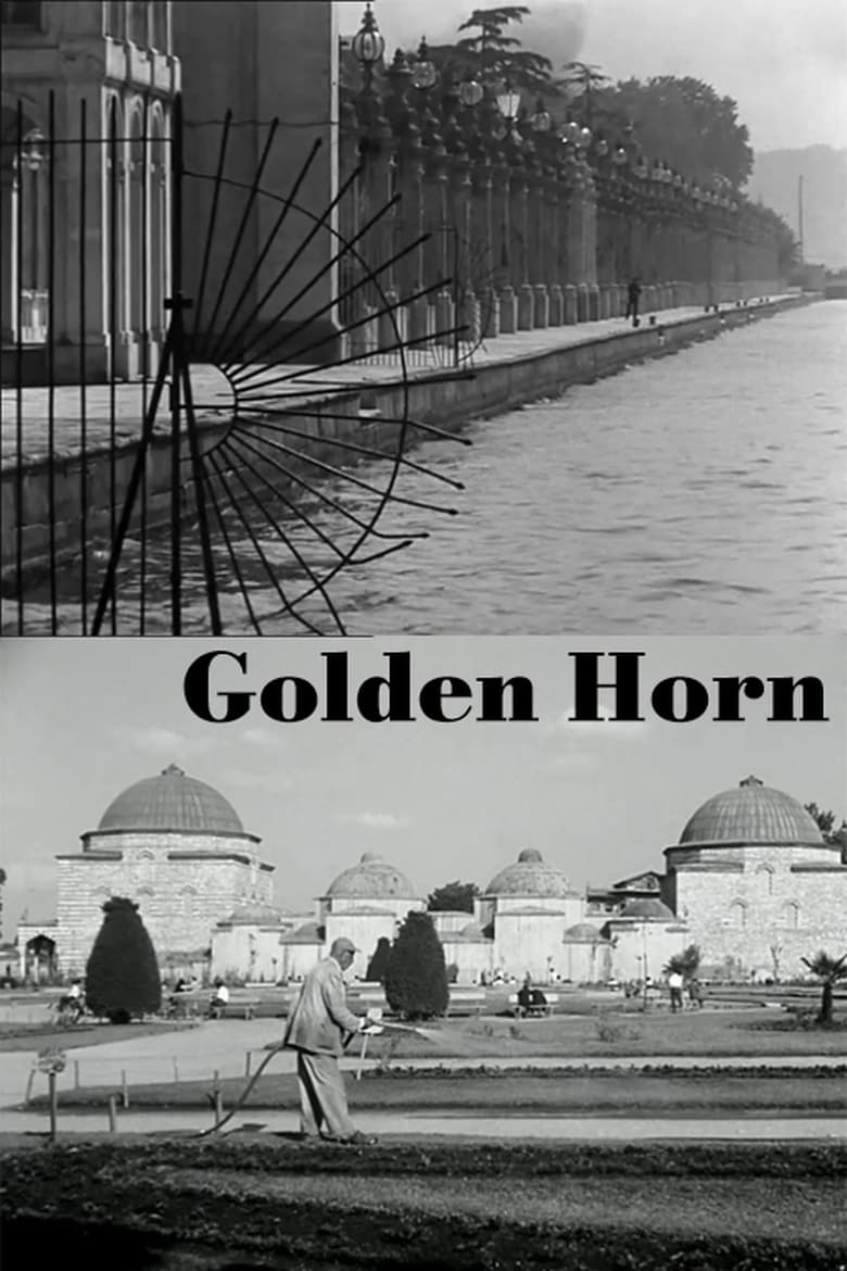 Poster of Golden Horn