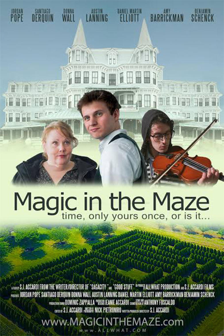 Poster of Magic in the Maze