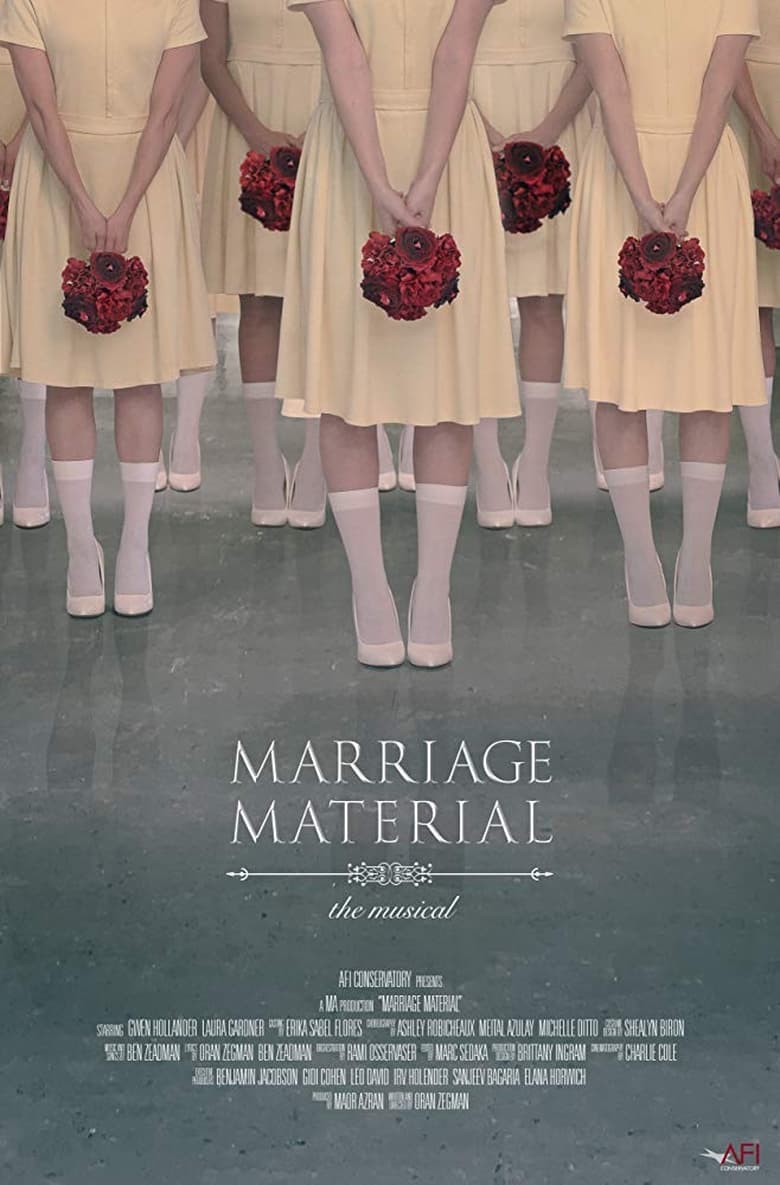 Poster of Marriage Material