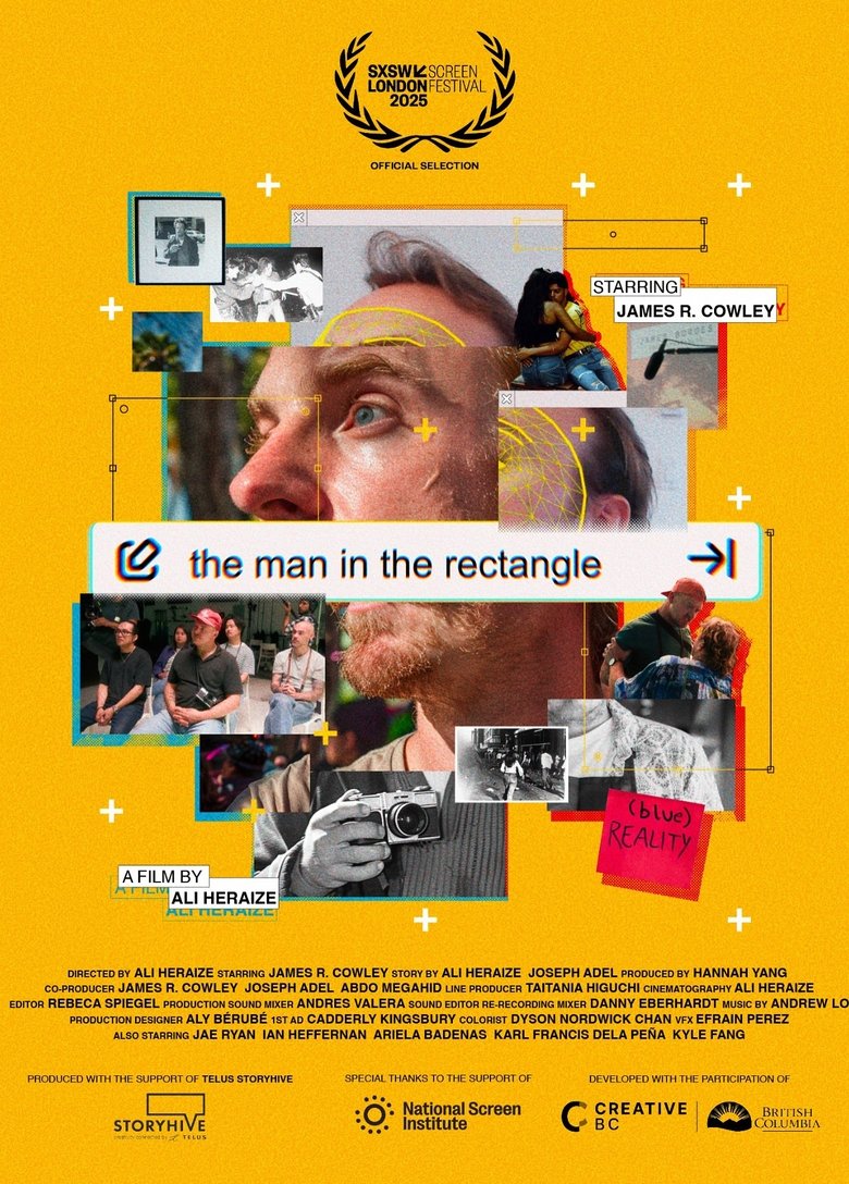 Poster of The Man in the Rectangle