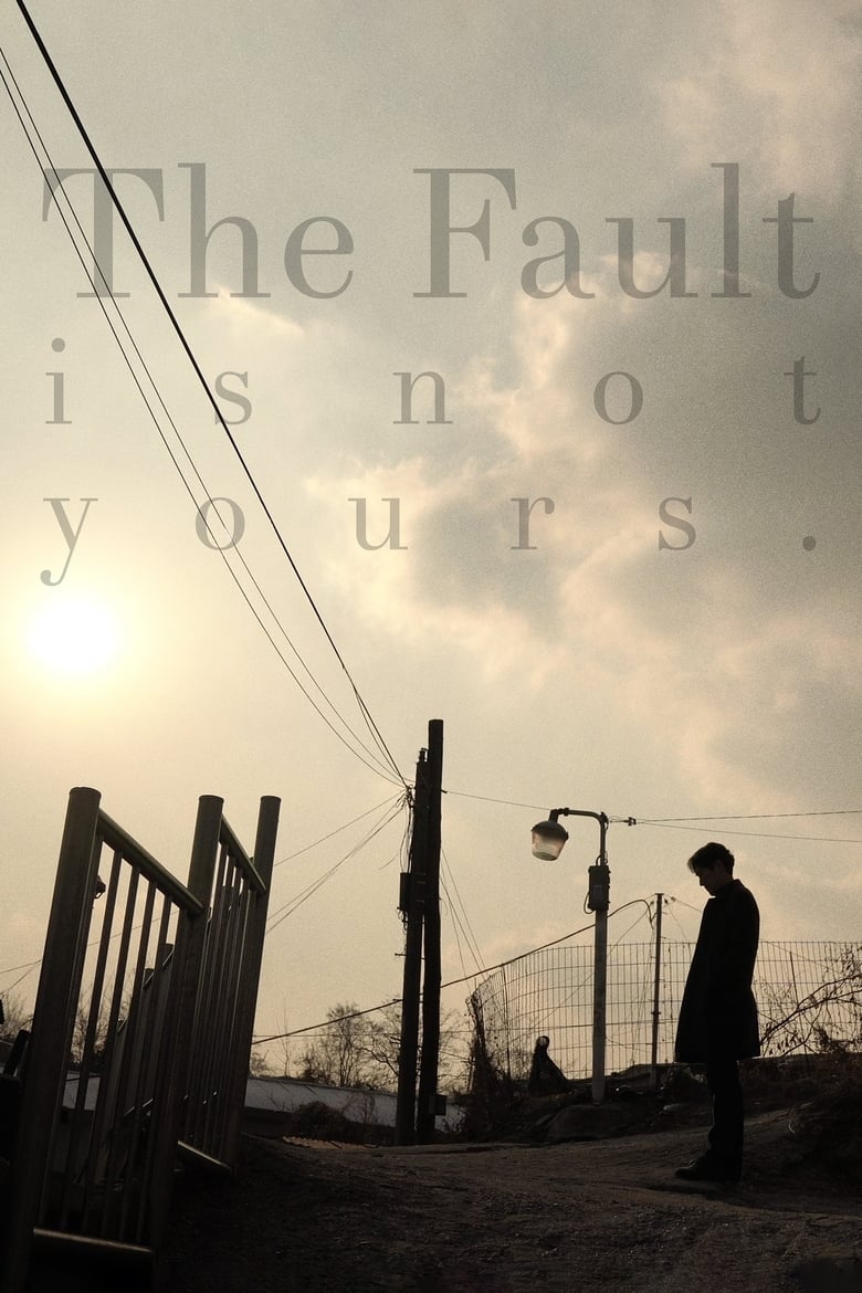 Poster of The Fault is Not Yours