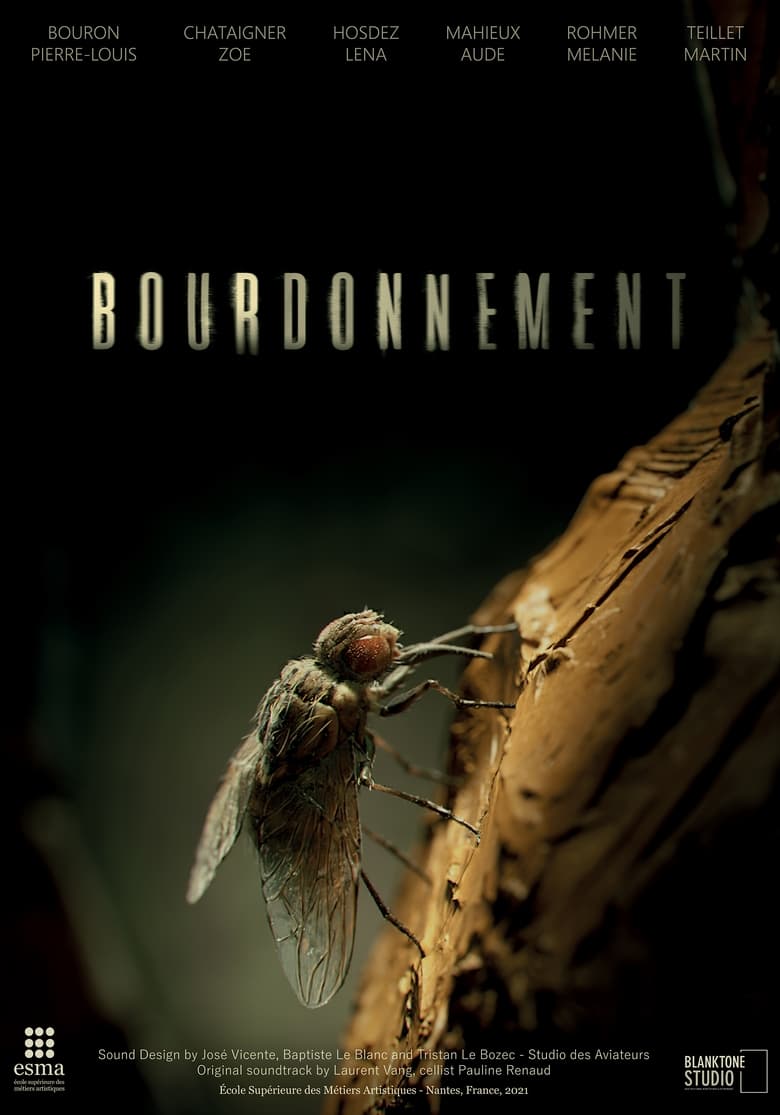 Poster of Bourdonnement