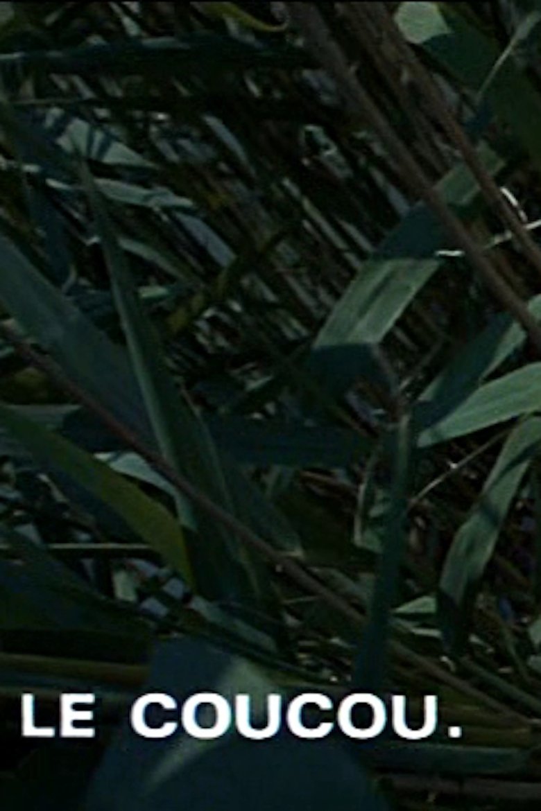 Poster of Le coucou