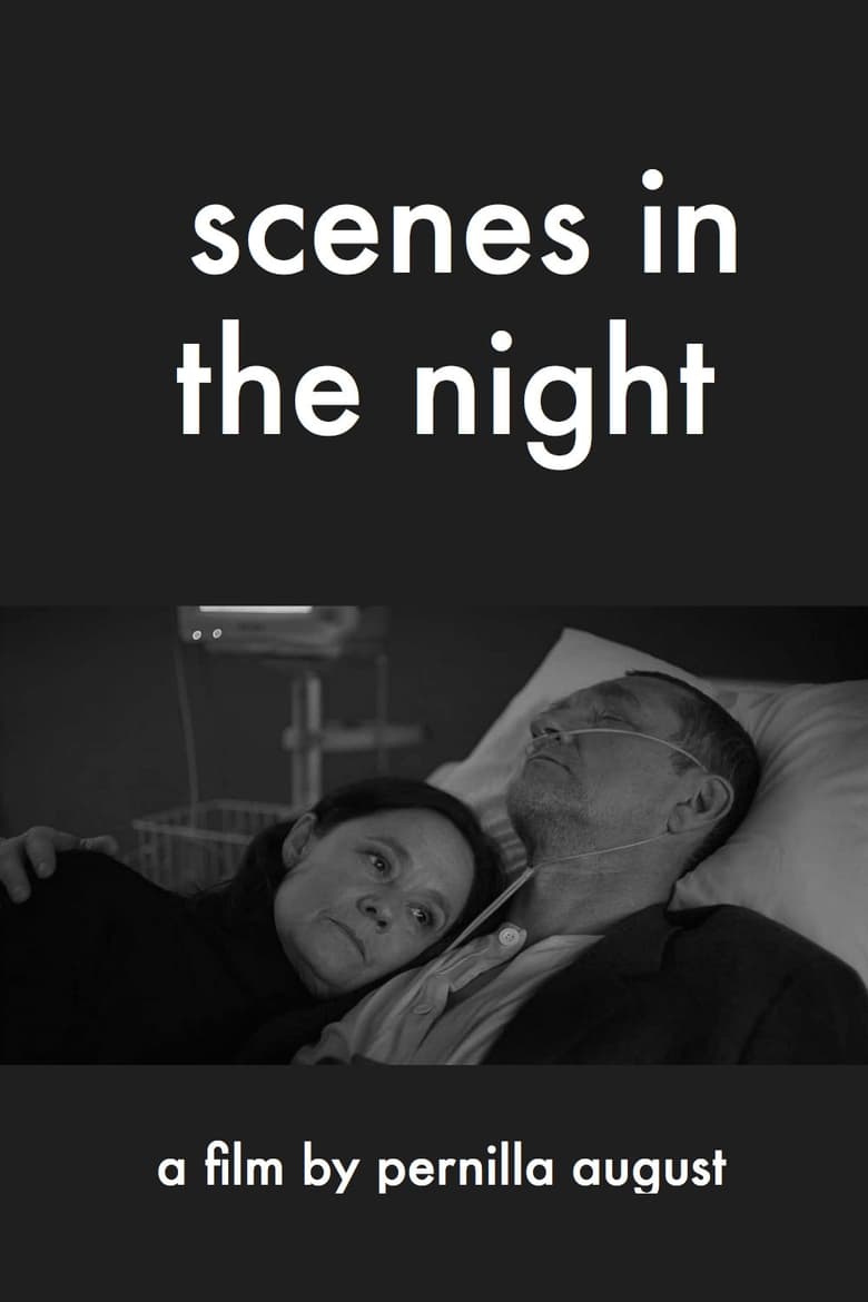 Poster of Scenes in the Night