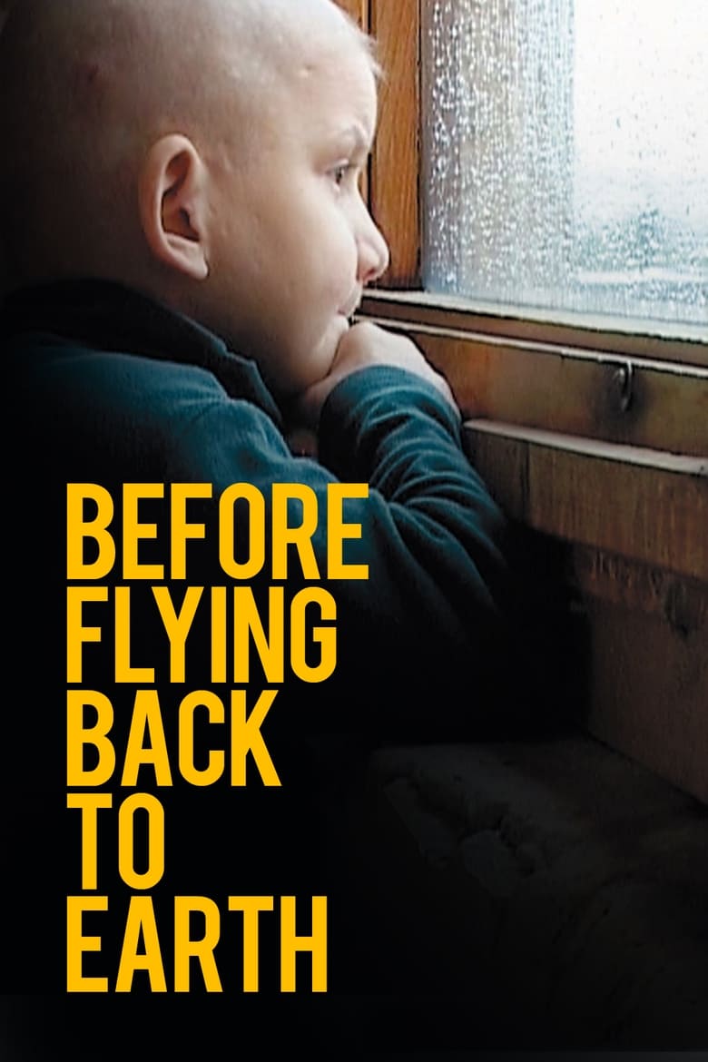 Poster of Before Flying Back to Earth