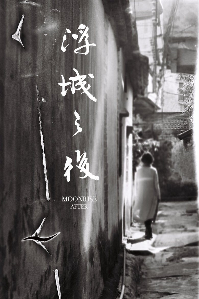 Poster of Moonrise After