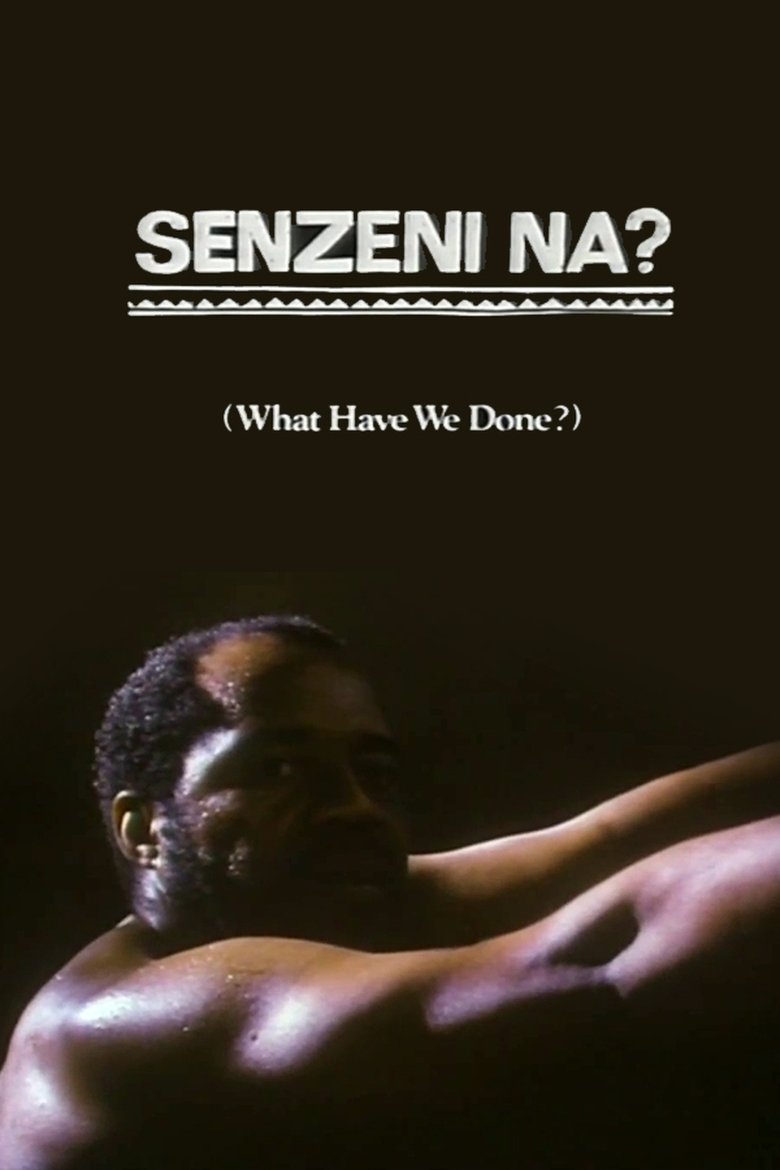 Poster of What Have We Done?