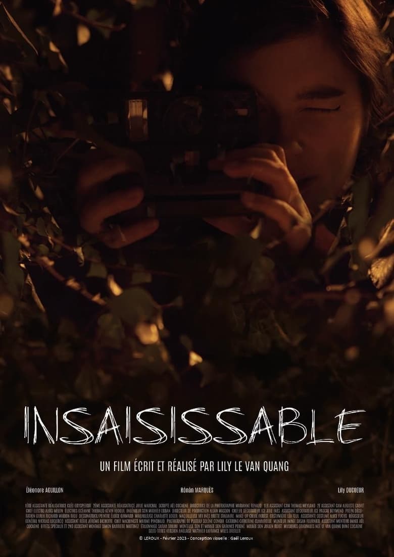 Poster of Insaisissable