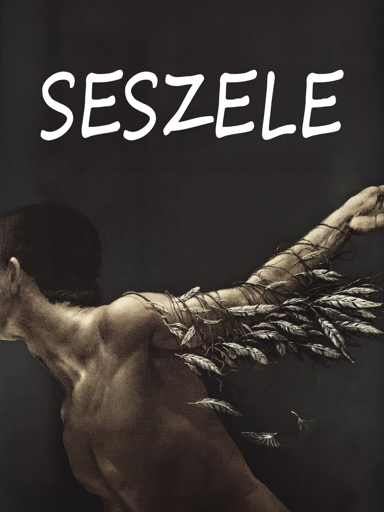Poster of Seychelles