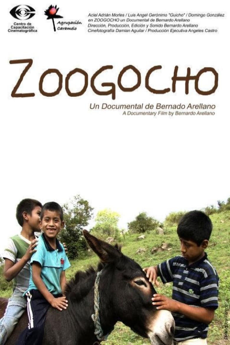 Poster of Zoogocho