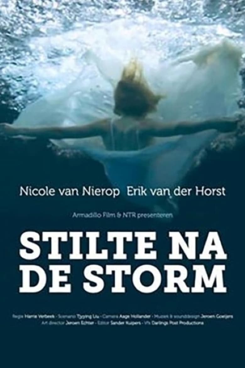 Poster of Stilte na de storm