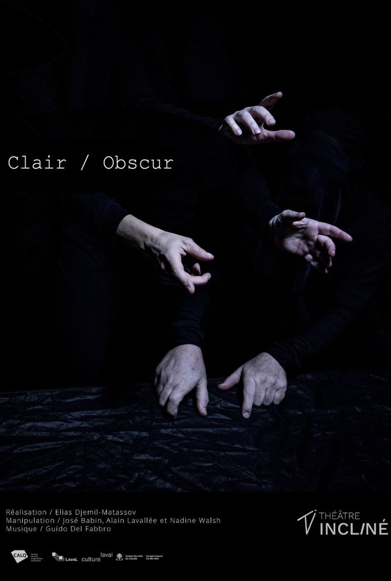 Poster of Clair / obscur