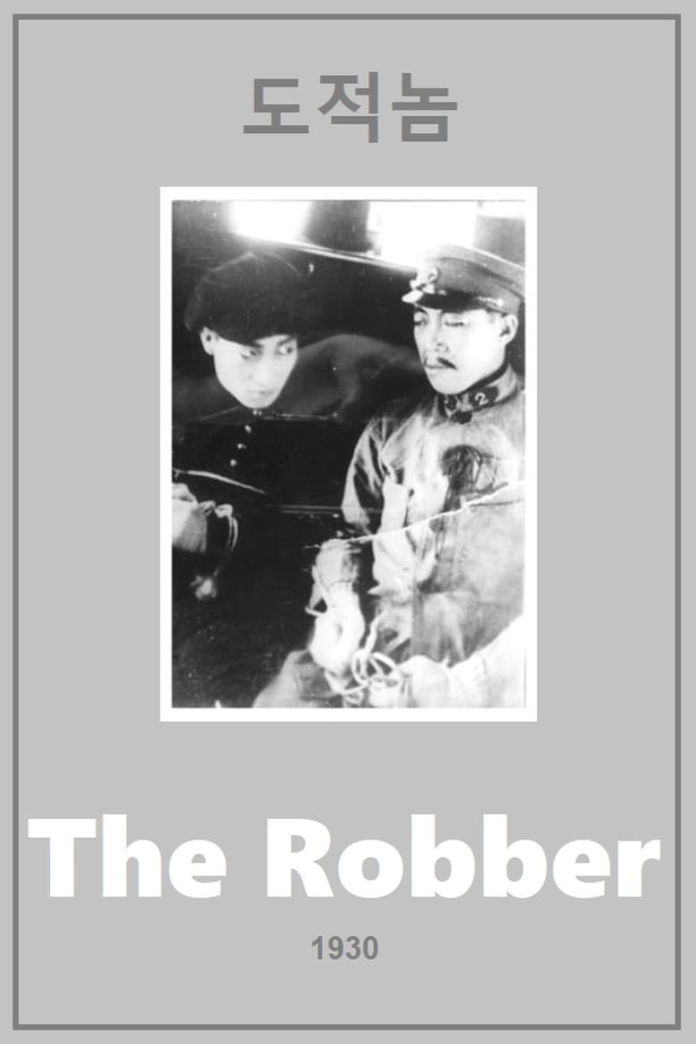 Poster of The Robber