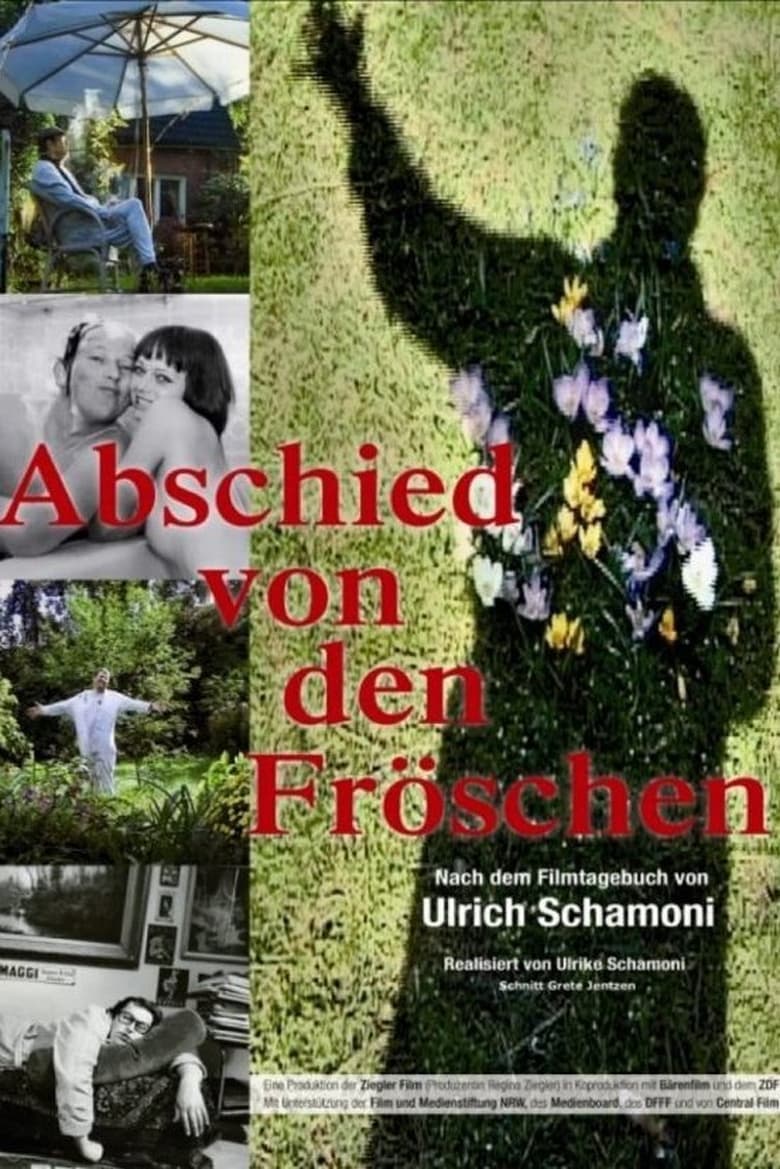 Poster of Abschied von den Fröschen