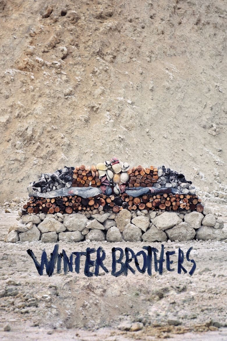 Poster of Winter Brothers