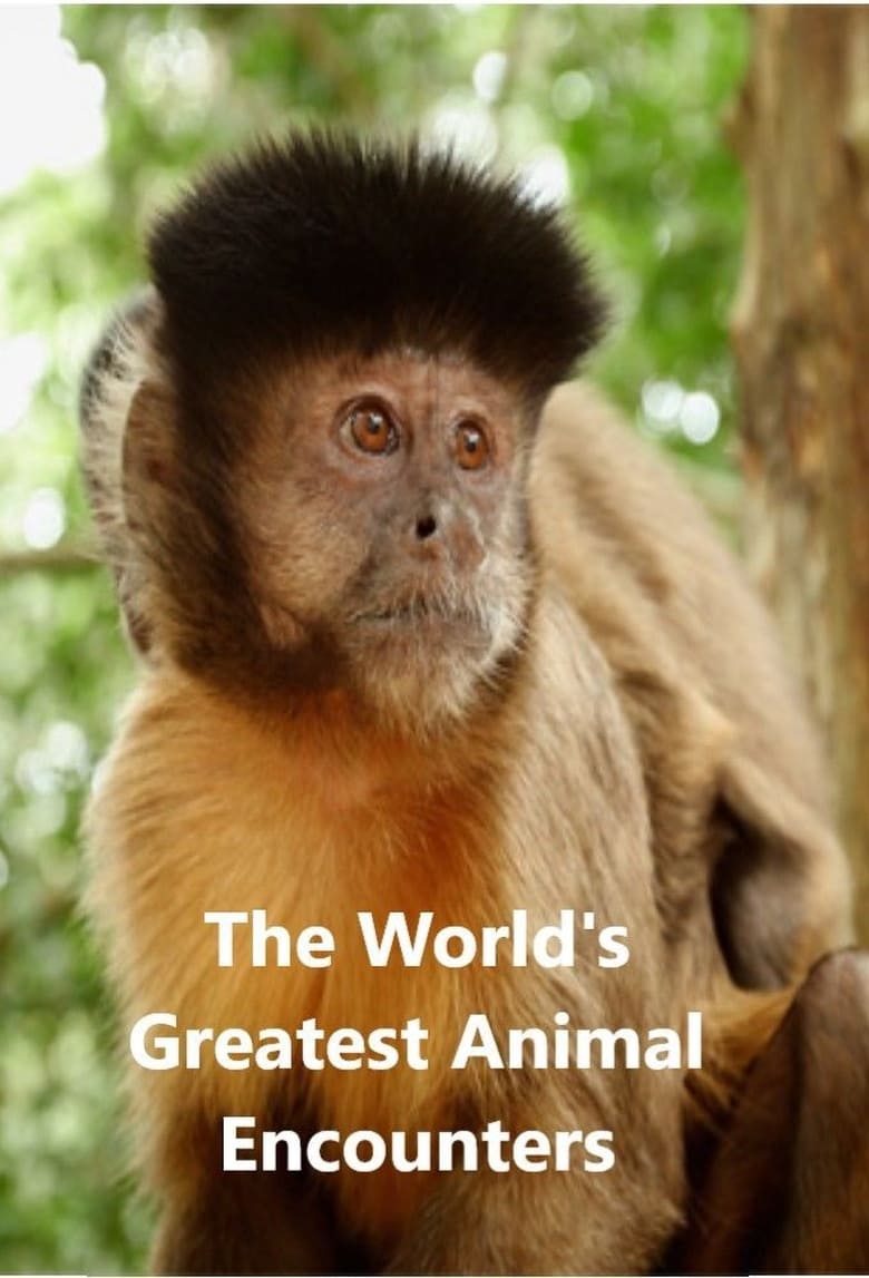 Poster of World's Greatest Animal Encounters