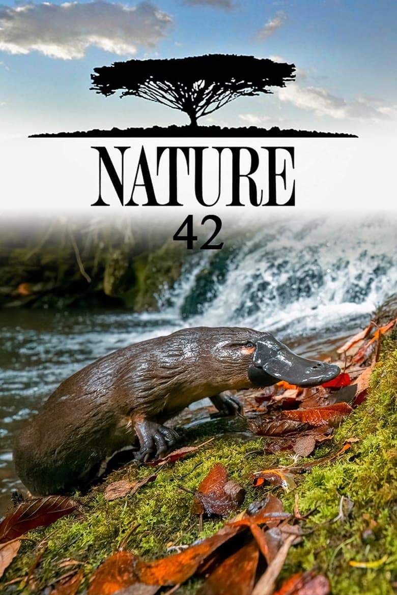 Poster of Episodes in Nature - Season 42 - Season 42