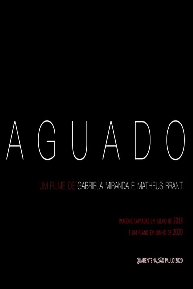 Poster of Aguado