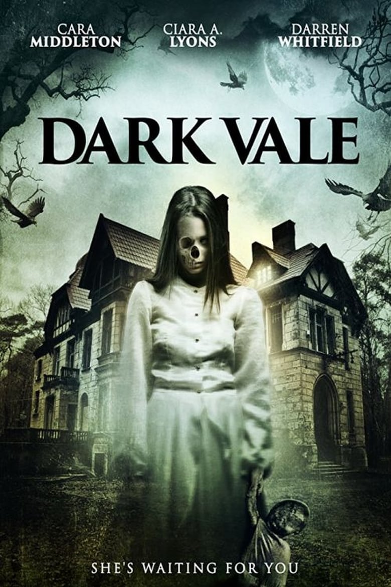 Poster of Dark Vale