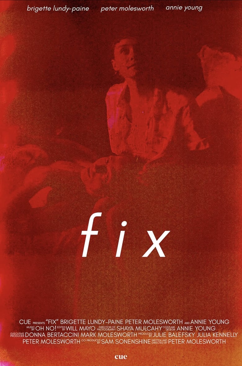 Poster of Fix