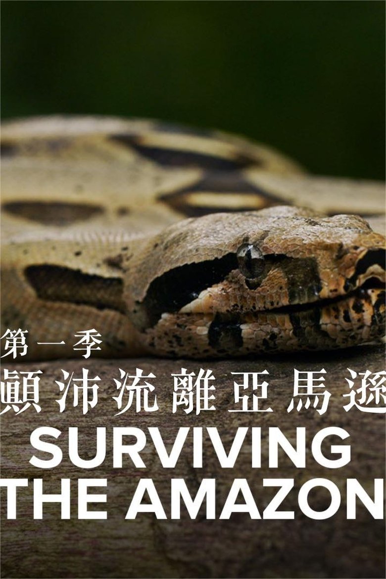 Poster of Episodes in Surviving The Amazon - Season 1 - Season 1
