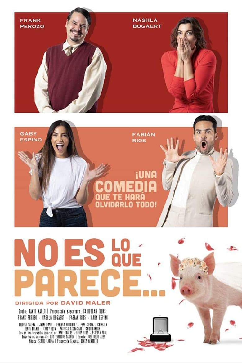 Poster of No es lo que parece